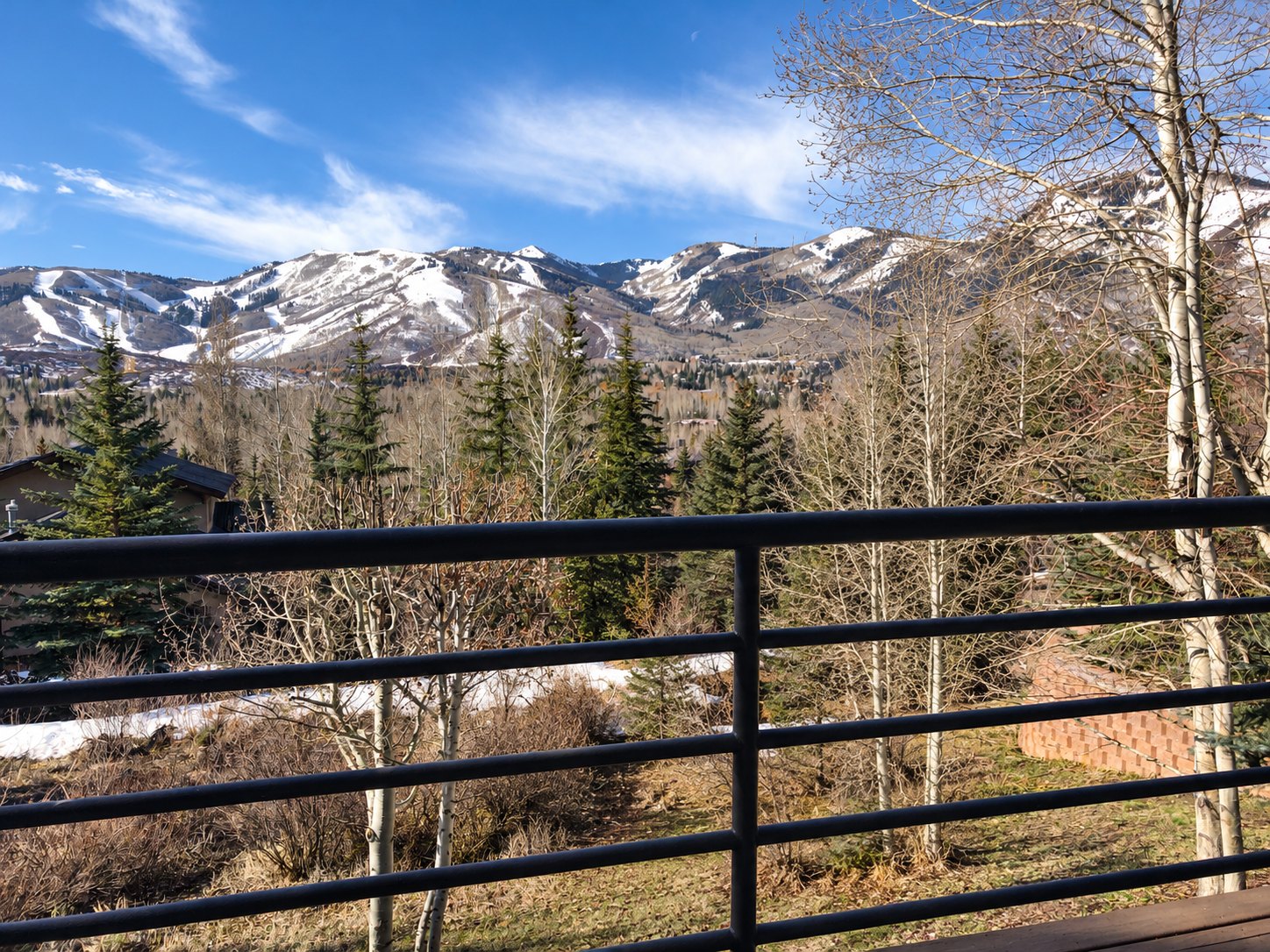 Living in Park Meadows